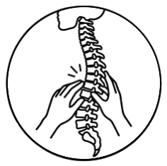 chiro adjustments